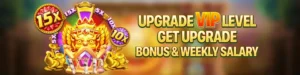 PH799 VIP PROGRAM